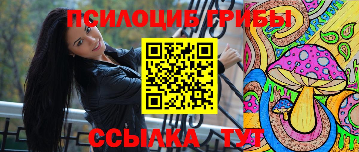 Псилоцибиновые грибы Psilocybine cubensis Симферополь