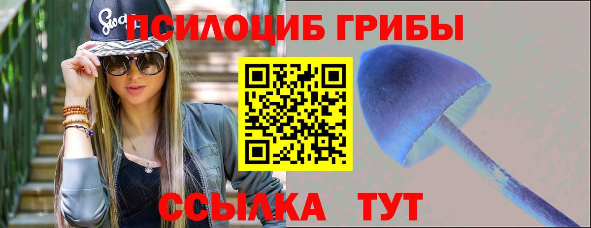Псилоцибиновые грибы Magic Shrooms  Галлюциногенные грибы прущие грибы  Симферополь  Вход с VPN 